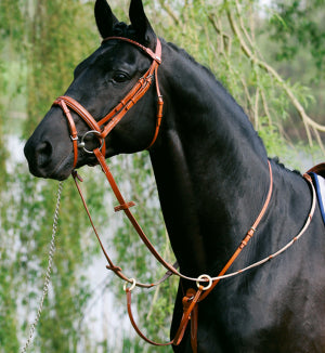 Breastplate - Running Martingale
